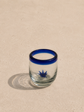 Vasito Agave